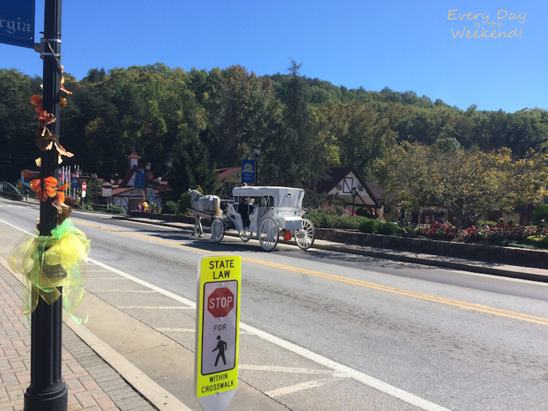 Destination: Blue Ridge, GA @ Every Day is the Weekend!