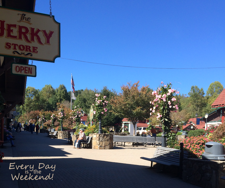Destination: Blue Ridge, GA @ Every Day is the Weekend!