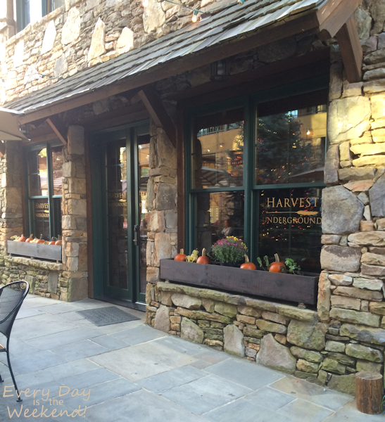 Destination: Blue Ridge, GA @ Every Day is the Weekend!