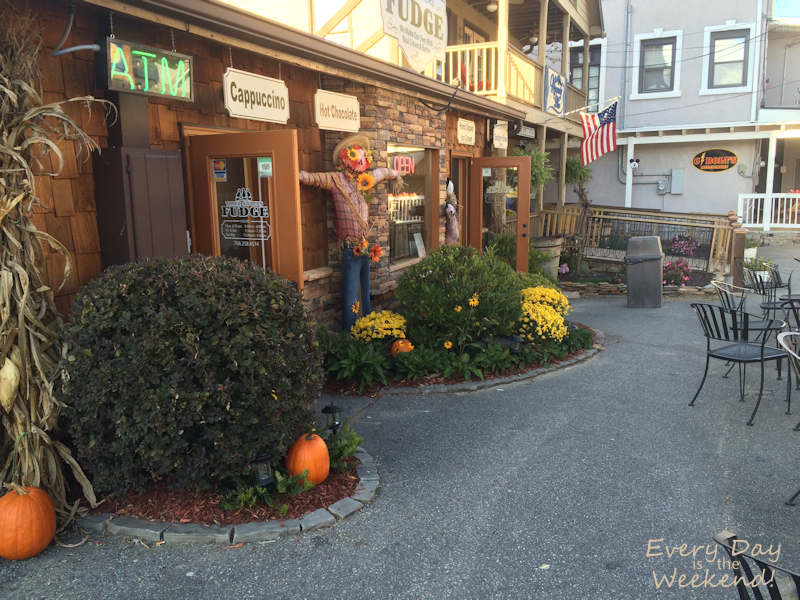 Destination: Blue Ridge, GA @ Every Day is the Weekend!