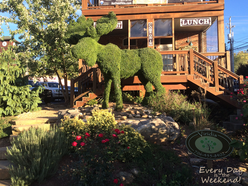 Destination: Blue Ridge, GA @ Every Day is the Weekend!