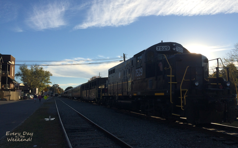 Destination: Blue Ridge, GA @ Every Day is the Weekend!