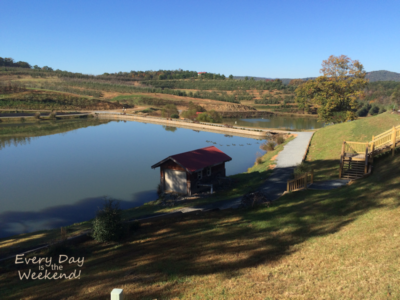 Destination: Blue Ridge, GA @ Every Day is the Weekend!