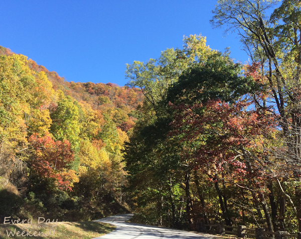 Destination: Blue Ridge, GA @ Every Day is the Weekend!