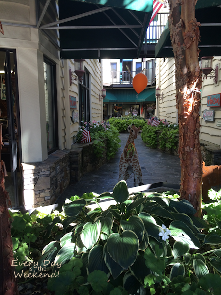 Destination: Blue Ridge, GA @ Every Day is the Weekend!
