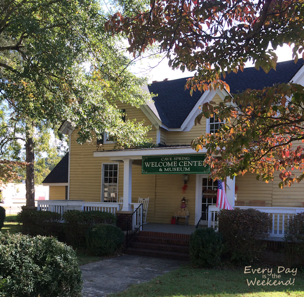 Destination: Blue Ridge, GA @ Every Day is the Weekend!