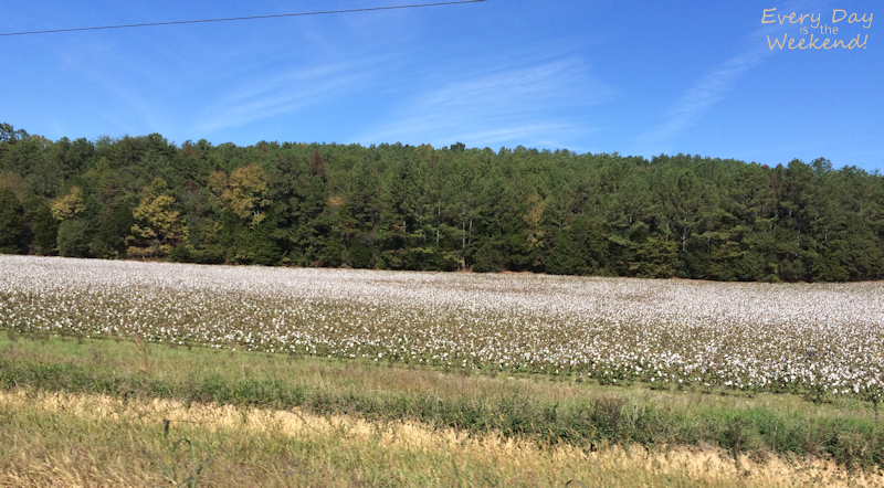 Destination: Blue Ridge, GA @ Every Day is the Weekend!